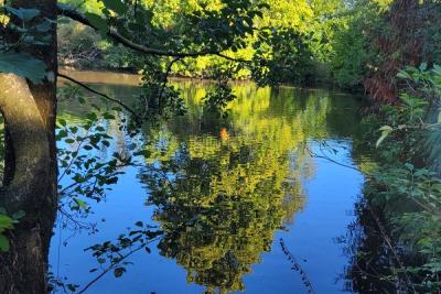 Enlarge image, modal window