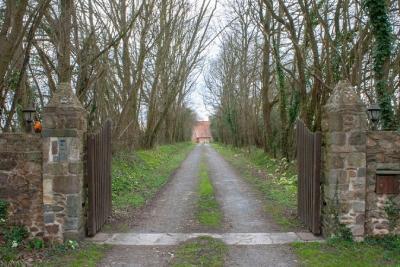 Enlarge image, modal window