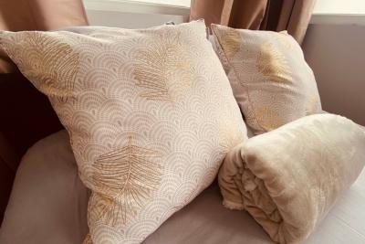 Enlarge image, modal window