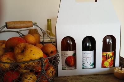 Enlarge image, modal window