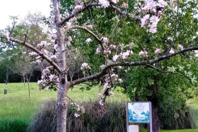 Enlarge image, modal window