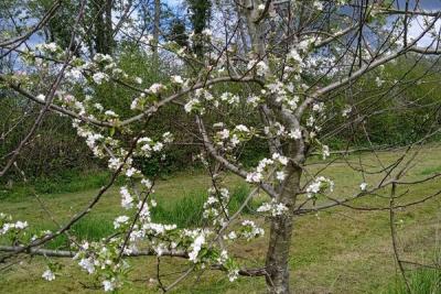 Enlarge image, modal window