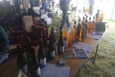 Enlarge image, modal window