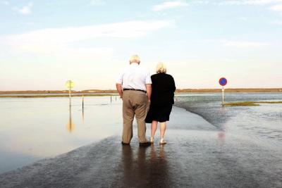 Enlarge image, modal window