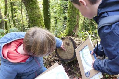 Enlarge image, modal window