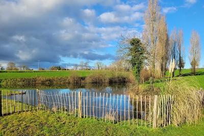 Enlarge image, modal window