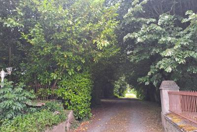 Enlarge image, modal window