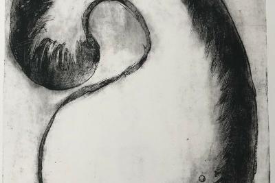 Enlarge image, modal window