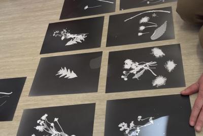 Enlarge image, modal window