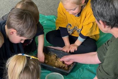 Enlarge image, modal window