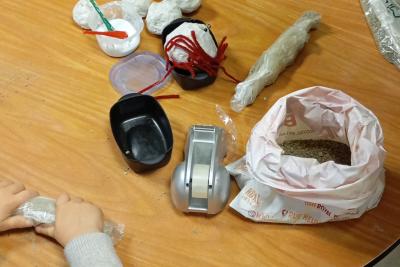 Enlarge image, modal window