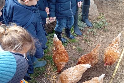 Enlarge image, modal window