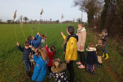 Enlarge image, modal window