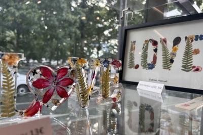 Enlarge image, modal window