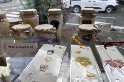 Enlarge image, modal window