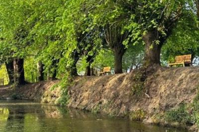 Enlarge image, modal window