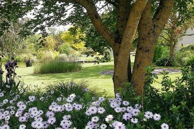 Enlarge image, modal window