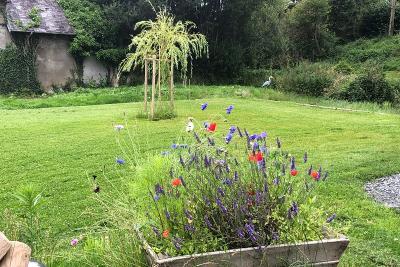 Enlarge image, modal window