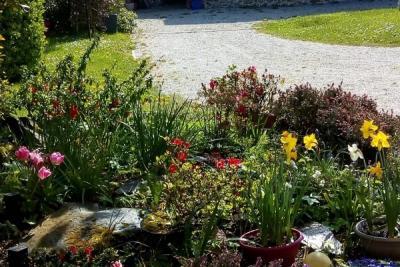 Enlarge image, modal window