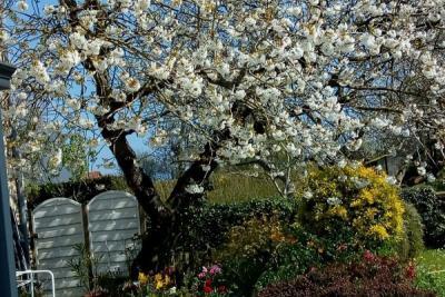 Enlarge image, modal window