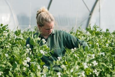 Enlarge image, modal window