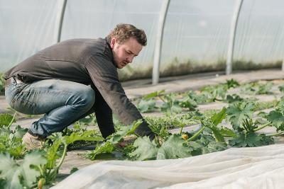 Enlarge image, modal window