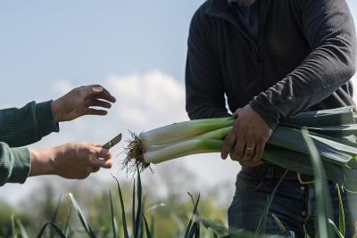 Enlarge image, modal window