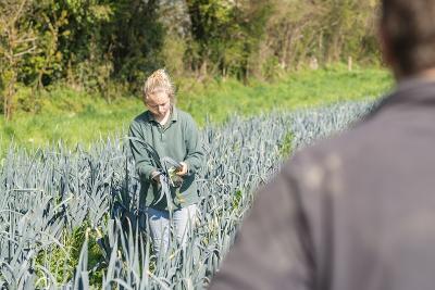 Enlarge image, modal window