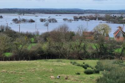 Enlarge image, modal window