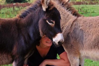 Enlarge image, modal window