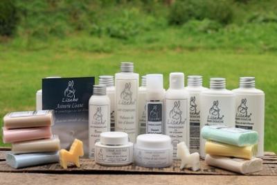 Enlarge image, modal window