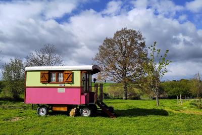 Enlarge image, modal window