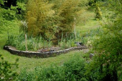 Enlarge image, modal window