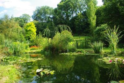 Enlarge image, modal window