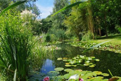 Enlarge image, modal window