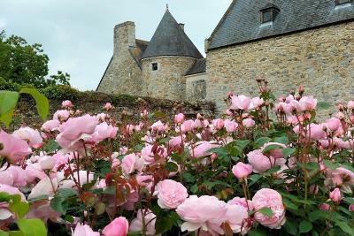 Enlarge image, modal window