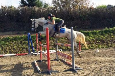 Enlarge image, modal window