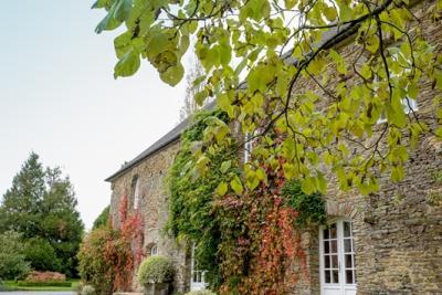 Enlarge image, modal window