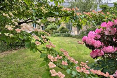 Enlarge image, modal window