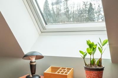 Enlarge image, modal window