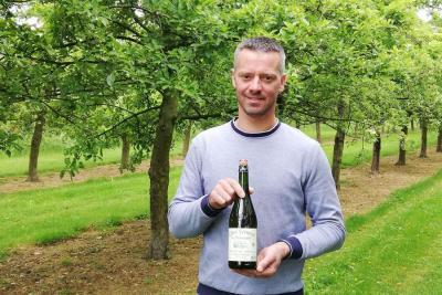 Enlarge image, modal window