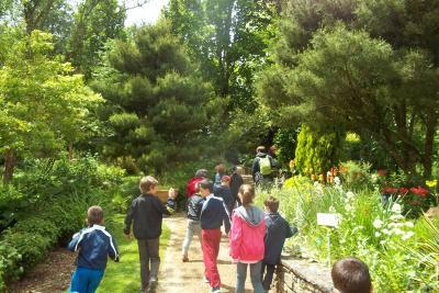 Enlarge image, modal window