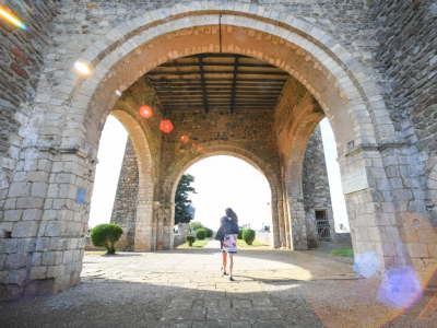 Enlarge image, modal window