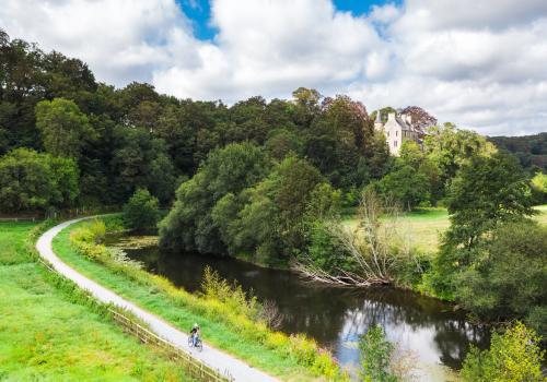 Enlarge image, modal window