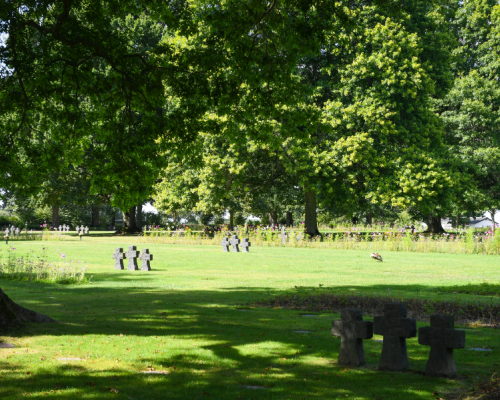 Enlarge image, modal window